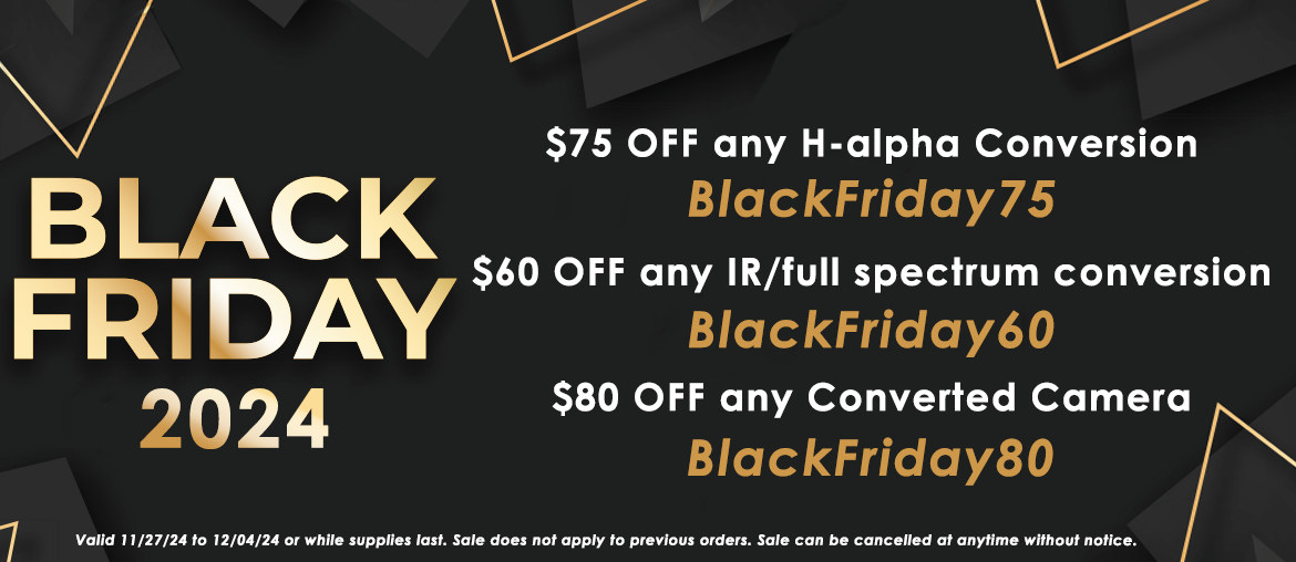 Black Friday Day 24 copy