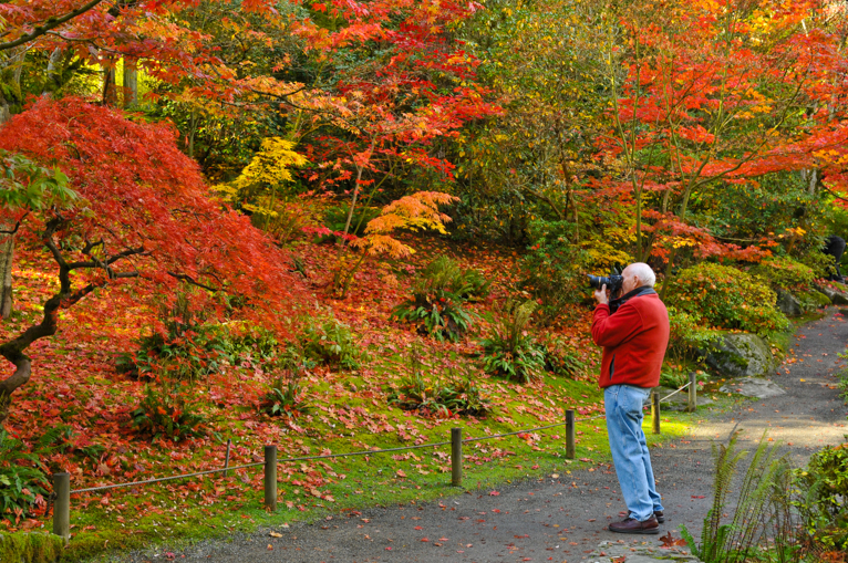 Photographing-autumn