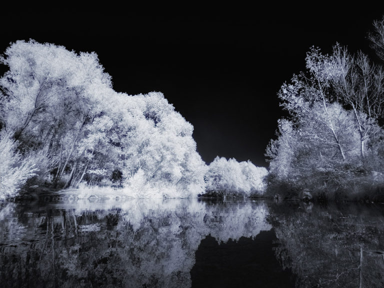 lumix-gh4-upgrade-to-infrared-infrared-conversions-ir-modifications